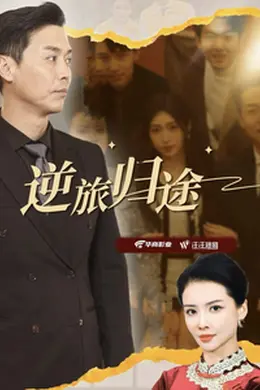 逆旅归途海报图片