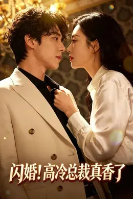 闪婚!高冷总裁真香了封面图