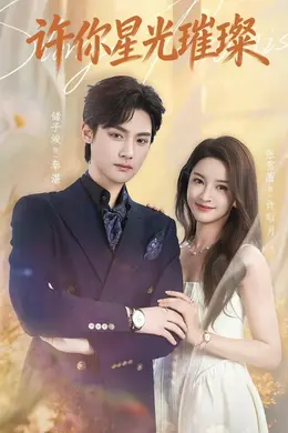 许你星光璀璨封面图