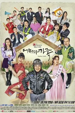 偶然家族封面图