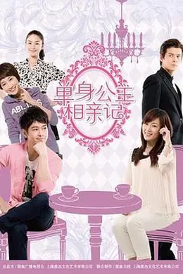 单身公主相亲记封面图