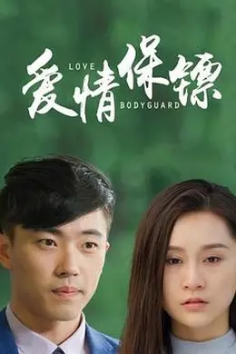 爱情保镖海报图片
