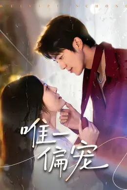 唯一偏宠封面图