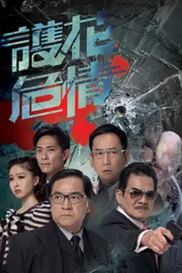 护花危情封面图