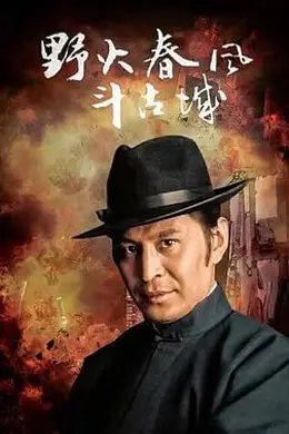 野火春风斗古城1995封面图