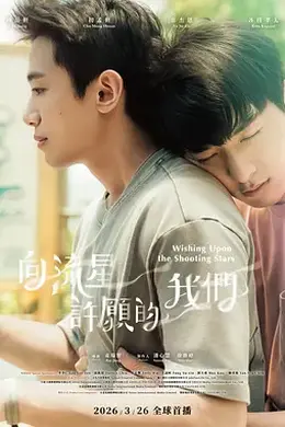 向流星许愿的我们封面图