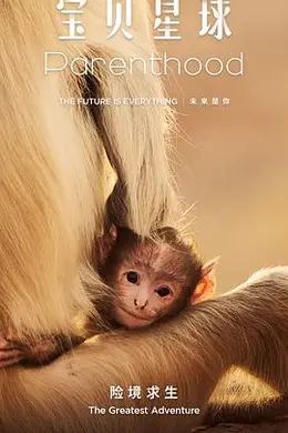 宝贝星球海报图片