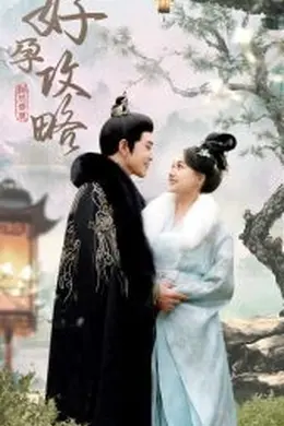 好孕攻略海报图片