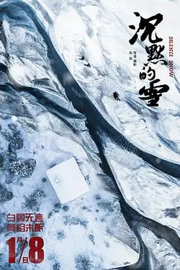沉默的雪封面图