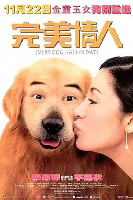 完美情人封面图