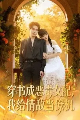 穿书成恶毒女配，我给情敌当僚机海报图片