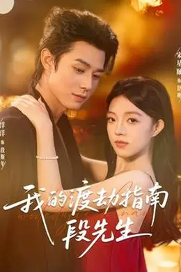 我的渡劫指南段先生海报图片