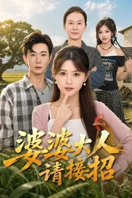 婆婆大人请接招封面图