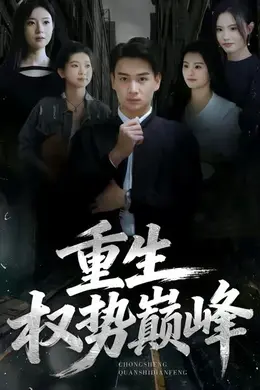 重生权势巅峰海报图片