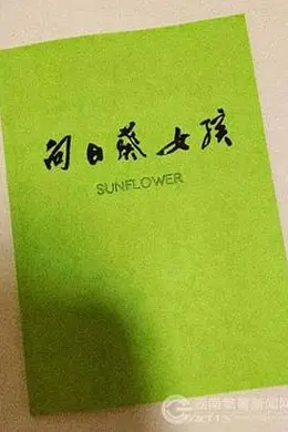 向日葵女孩封面图