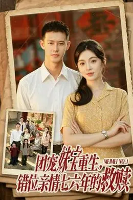 团宠妹宝重生，错位亲情七六年的救赎海报图片