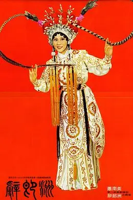 辞郎洲国语封面图