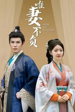 唯妻不负海报图片