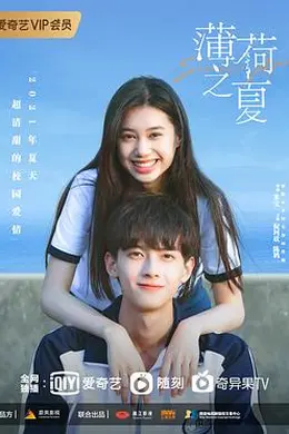 薄荷之夏封面图