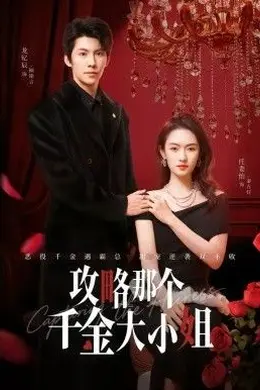 攻略那个千金大小姐海报图片