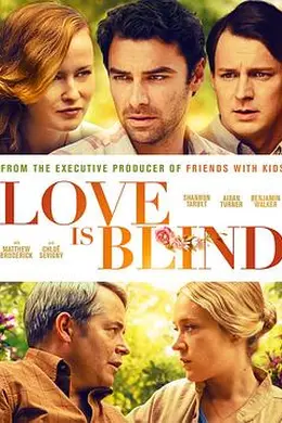 爱是盲目封面图