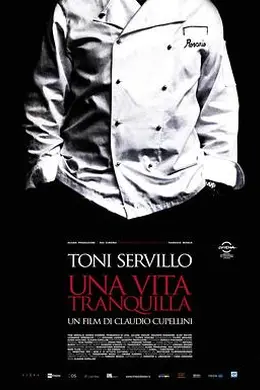 宁静的人生封面图