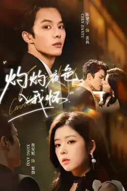 灼灼夜色入我怀封面图