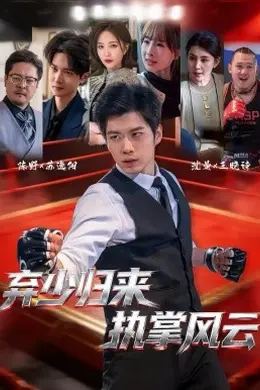 弃少归来，执掌风云海报图片