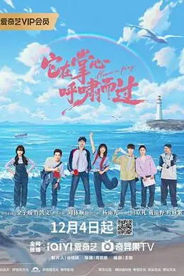 它在掌心，呼啸而过封面图