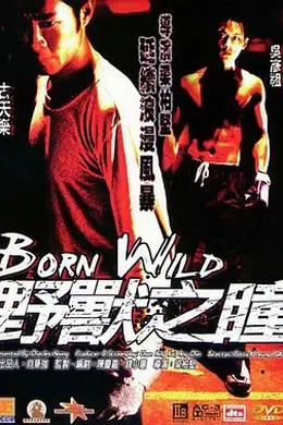 野兽之瞳国语封面图