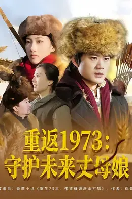 重返1973：守护未来丈母娘海报图片