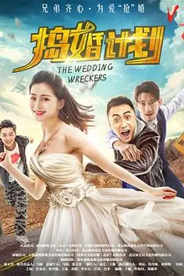 捣婚计划封面图