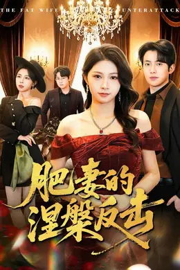 肥妻的涅槃反击封面图