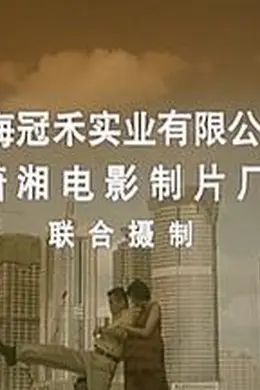 给太太打工封面图