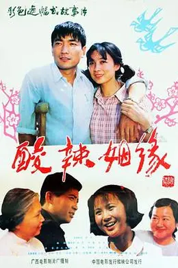 酸辣姻缘封面图