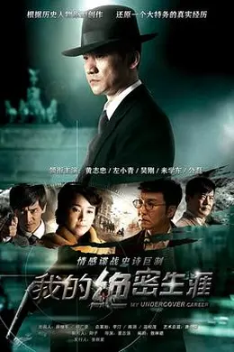 我的绝密生涯封面图