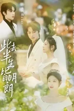 此去半生皆明朗海报图片