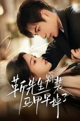 靳先生别装马甲早掉了封面图