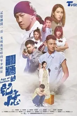 翻墙的记忆封面图