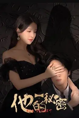 他的秘密封面图