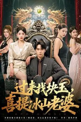 过来找块玉，喜提冰山老婆封面图