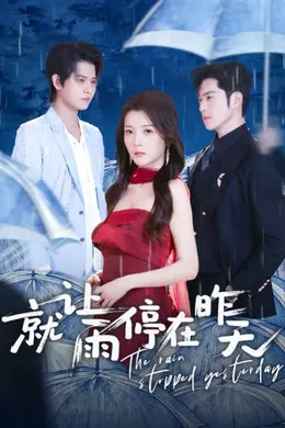 就让雨停在昨天封面图