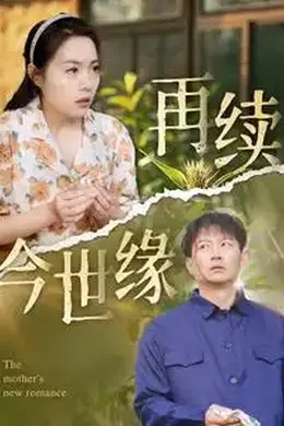 再续今世缘海报图片