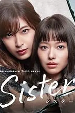 姐妹海报图片
