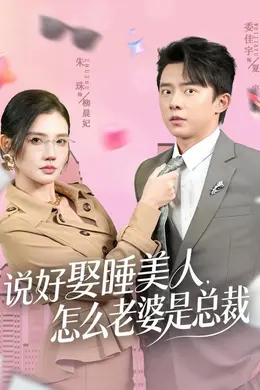 说好娶睡美人，怎么老婆是总裁封面图