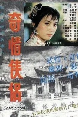 奇情侠侣封面图