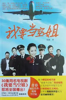 我要当空姐封面图