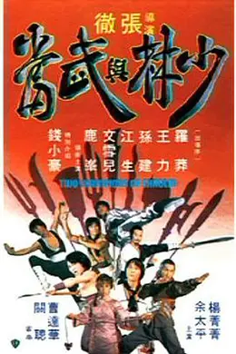 少林与武当海报图片