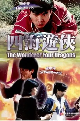 四海游侠封面图