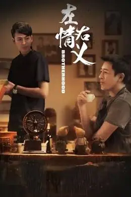 左情右义封面图